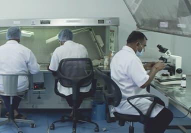 Molecular Biotechnology Laboratory