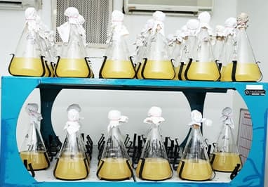 Bio-Organic Inputs Laboratory & Testing
